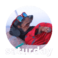 Its Saturday Weekend Sticker by Sealed With A GIF