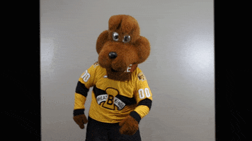 BdnWheatKings kings brandon willie wheat GIF
