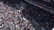 detroit tigers GIF by MLB