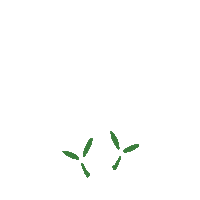 Spring Growing Sticker