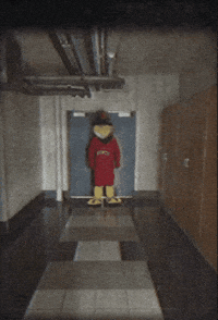 Cyclones GIF