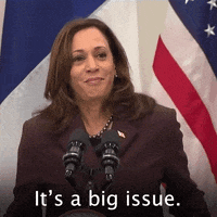 Kamala Harris Politics GIF by The Democrats