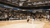 Stop Motion Basketball GIF by Towson University