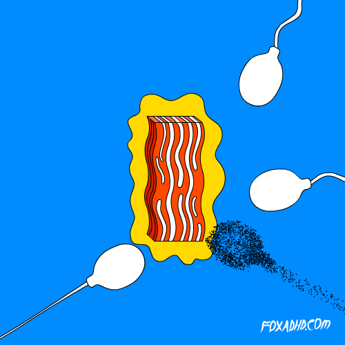 Animation Domination Fox GIF by gifnews