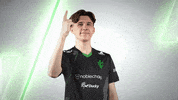 Point Esports GIF by Sprout