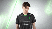 Esports Academy GIF by Sprout