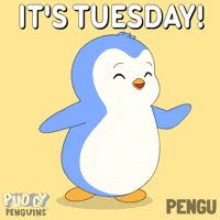 Tuesday Morning Penguin GIF by Pudgy Penguins