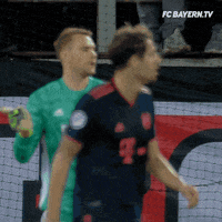fcbayern football soccer no what GIF