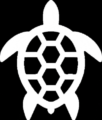 zelvagorras giphygifmaker zelva zelvagorras GIF