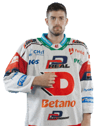 Hockey Czech Sticker by HC Dynamo Pardubice