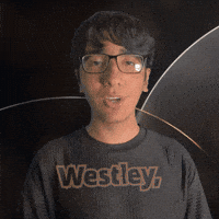 Wesley GIF