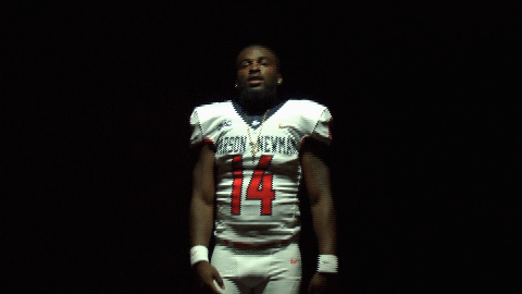 cnfb18 cnfootball18 GIF by Carson-Newman Athletics