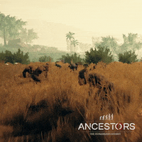 AncestorsGame ancestors ancestorsgame GIF