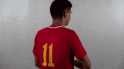 WJUCardinals wheeling university wheeling soccer GIF