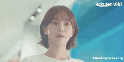 Cha Eun Woo Kdrama Couple GIF by Viki