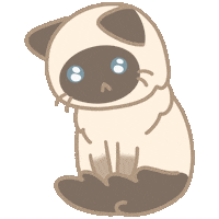 Cat Ragdoll Sticker by Brenfi