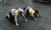 Exercise Push GIF