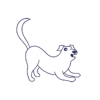 cafunepets cats dogs pet gato Sticker