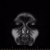 halloween omg scary skull dead GIF