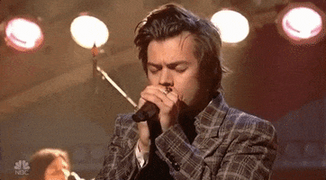 harry styles GIF by Saturday Night Live