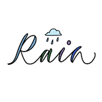 Rain Sticker