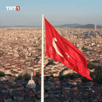 Turkey Turkish GIF by TRT