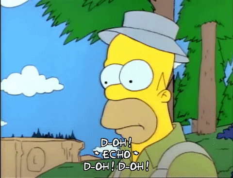 Season 1 GIF by The Simpsons
