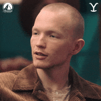Say What Oh Yeah GIF by Yellowstone