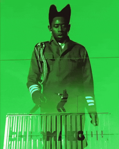 Tylerthecreator GIF by Respective