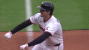 Sport Celebrate GIF by MLB