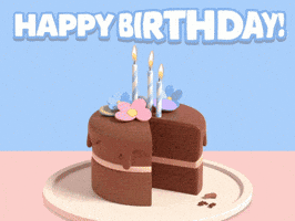 Happy Birthday Cat GIF by Bloom City Match