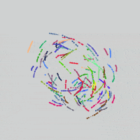 GIF by Boopy Club