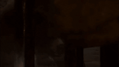 katerinamikitova giphyupload bg3 baldurs gate 3 halsin GIF