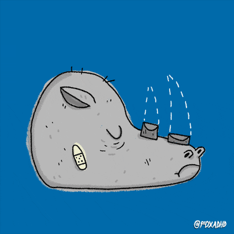 Poaching Animation Domination GIF by gifnews