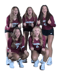 Celebration Cheering Sticker by Aquinas Volleyball