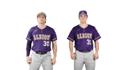 Baseball Ppp Sticker by Albion College
