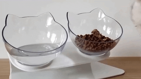 giphygifmaker GIF