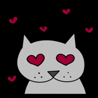 PacoBancal love amor in love gato GIF