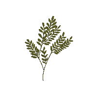 aprililaac green garden leaf botanical Sticker