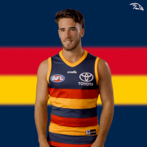 Afl Brush Off GIF by Adelaide Crows