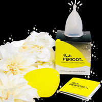 bestperiodt best periodt best periodt menstrual cup GIF