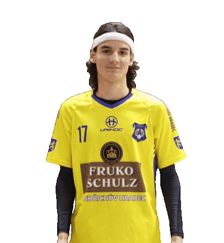 FLORBALJH giphyupload sports sport floorball Sticker