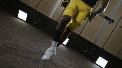hawkeye GIF by University of Iowa Hawkeyes Athletics