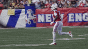 Stefon Diggs Football GIF by New England Patriots