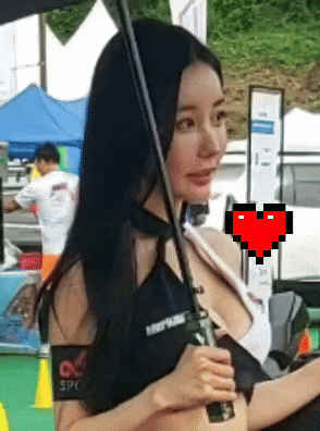 Model GIF