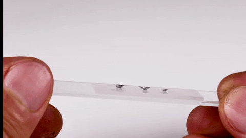 giphyupload GIF