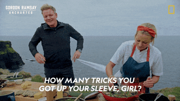 Gordon Ramsay Disney Plus GIF by National Geographic TV