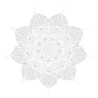 thegreysketchbook art white artist mandala Sticker