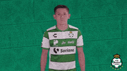 clubsantos  GIF