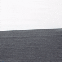 Fox Wood GIF by Martinut